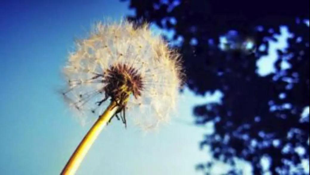 带业往生,但是你不能带着重业~ 带业往生,但是你不能带着重业~