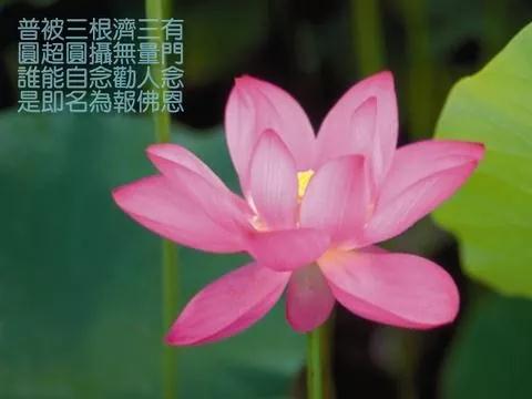 ������ʦ�����ŵ�������ʵ