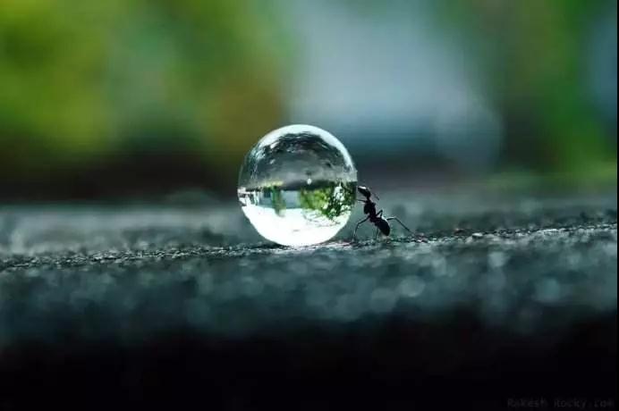 《金刚经》的八大真理,你读懂了吗? 《金刚经》的八大真理,你读懂了吗?