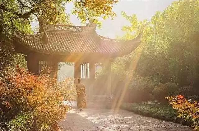 《金刚经》的八大真理,你读懂了吗? 《金刚经》的八大真理,你读懂了吗?