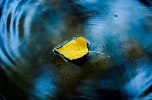 �����Ϊ�ܶ���ҵ������ҵ���Ǹ���ô���أ�