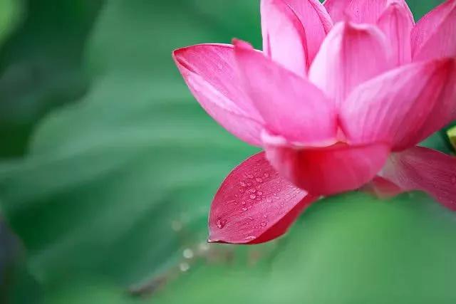 ¡�����У����ǻ�ȥѧϰ��