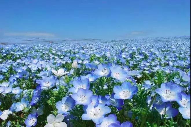 ¡�����У����ǻ�ȥѧϰ��