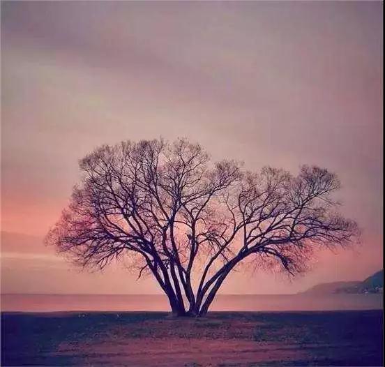 假如有一天,我老无所依……(看完我沉默了) 假如有一天,我老无所依……(看完我沉默了)