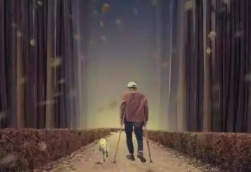 假如有一天,我老无所依……(看完我沉默了) 假如有一天,我老无所依……(看完我沉默了)