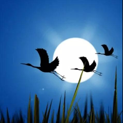 ��ʮ������֪���𡱵Ľ��ԣ����������еĸ����εڣ�