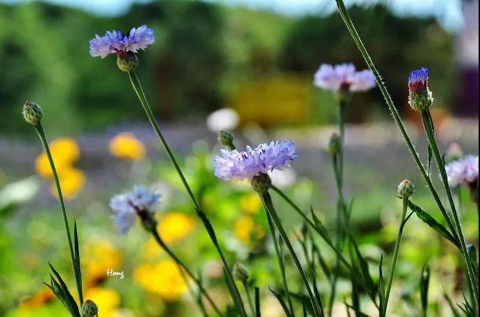 命硬、命苦怎么办?佛教告诉你改命的方法! 命硬、命苦怎么办?佛教告诉你改命的方法!