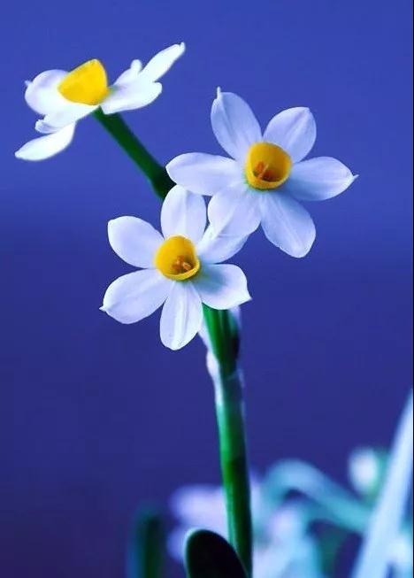 命硬、命苦怎么办?佛教告诉你改命的方法! 命硬、命苦怎么办?佛教告诉你改命的方法!