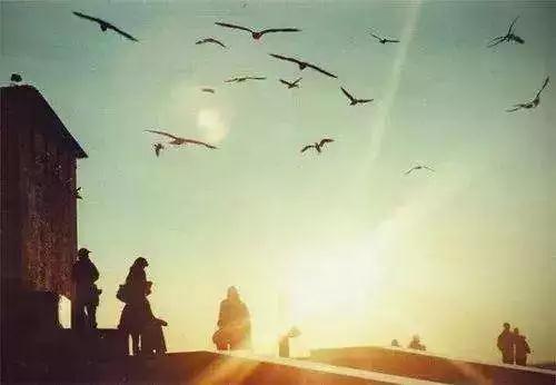 �����ġ�Ӧ����ʲô�ط���ϰ�أ���������У�