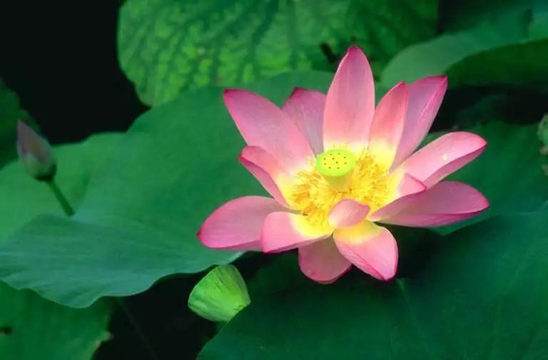 �����ġ�Ӧ����ʲô�ط���ϰ�أ���������У�