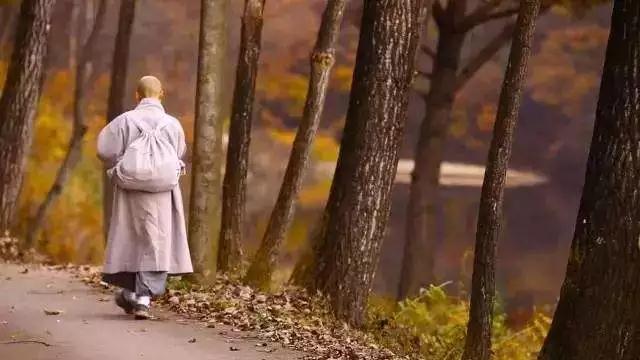 修行要落在实处,用佛的法不断改变自己! 修行要落在实处,用佛的法不断改变自己!