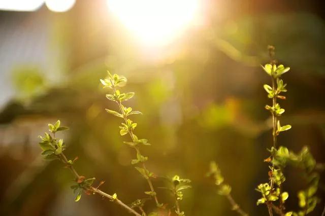 ����������û�и�Ӧ��һ����������Ĺ���