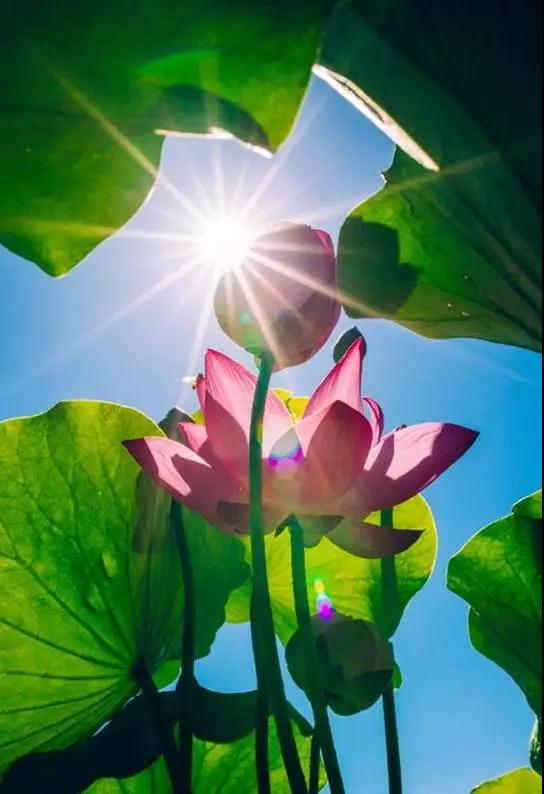 ������������¾���Ч����