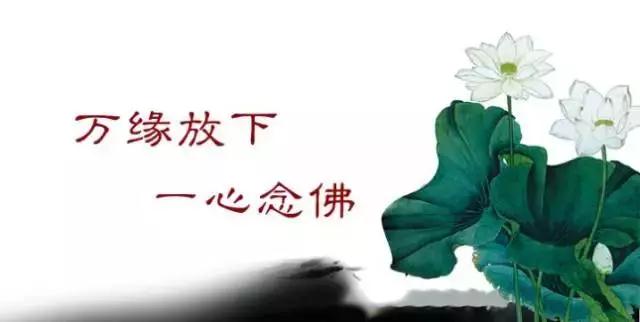 ������������¾���Ч����