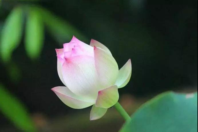 ���ţ��ú�˵����Ŀ��Ըı�����