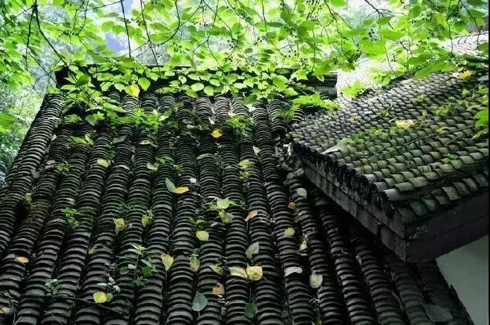 ���Ĺ��桢�ϵ���ȴΪ��ʹʧ���ӣ�ӡ�ⷨʦ��Ҫ��ʾ