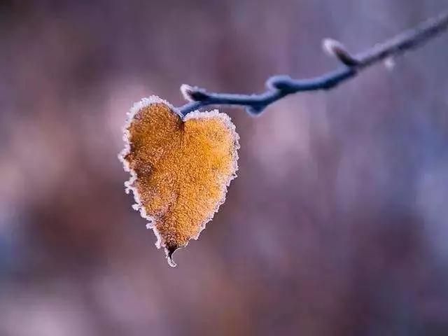 ���Ĺ��桢�ϵ���ȴΪ��ʹʧ���ӣ�ӡ�ⷨʦ��Ҫ��ʾ