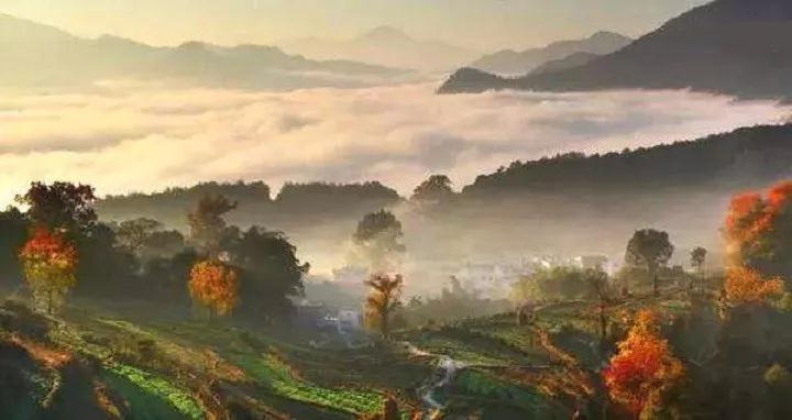 禅师的从容不迫是怎么炼成的?林清玄的这个解读让人幡然有悟 禅师的从容不迫是怎么炼成的?林清玄的这个解读让人幡然有悟