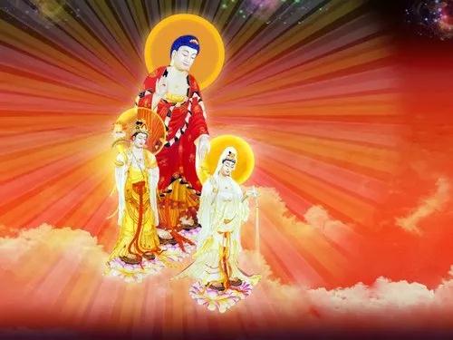 ������ŵĸ�Ӧ