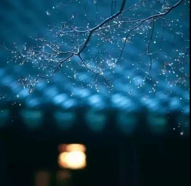 放下名利枷锁,老老实实念佛~ 放下名利枷锁,老老实实念佛~