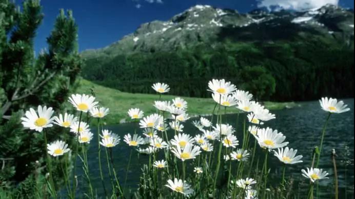 �������յĸ�Դ�����������֣��ż���