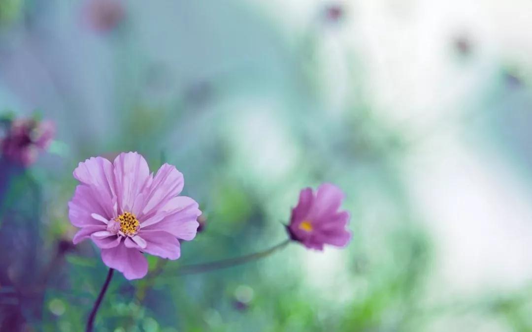 �����ʱ����������Ҫ�����ķ𷨣������ķ���ʲô��