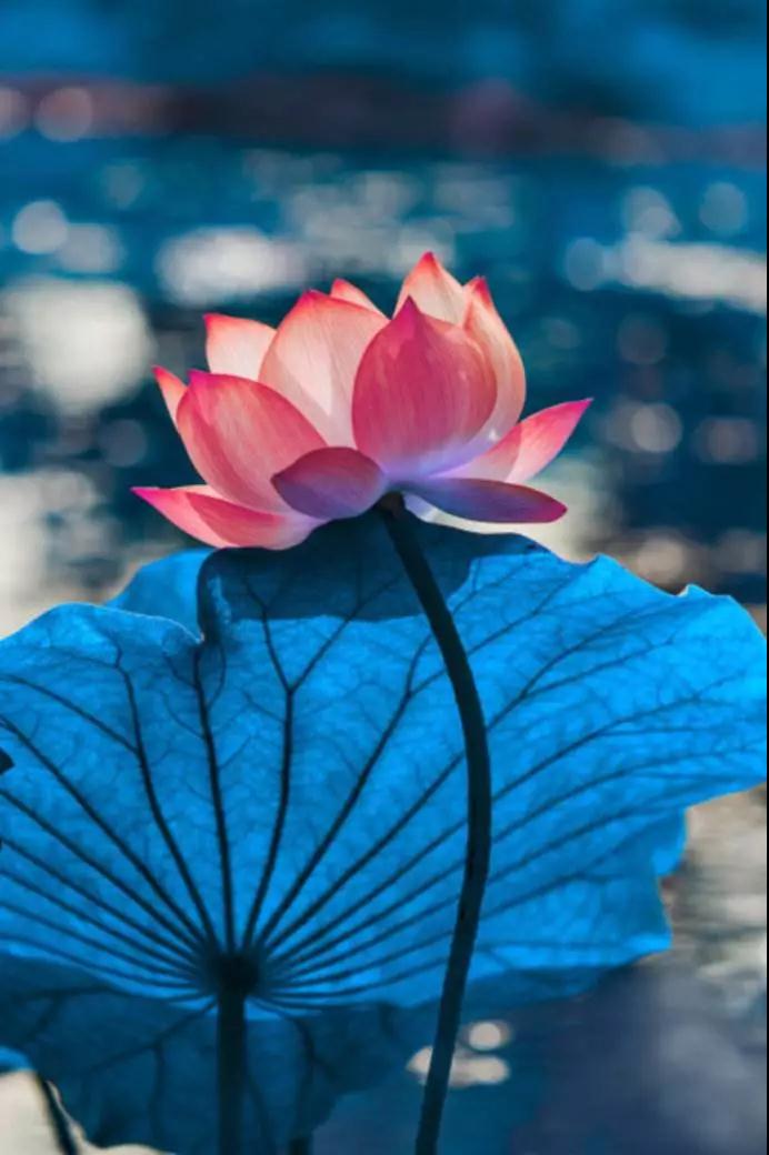 读懂《心经》,你会明白人生再难也有希望 读懂《心经》,你会明白人生再难也有希望