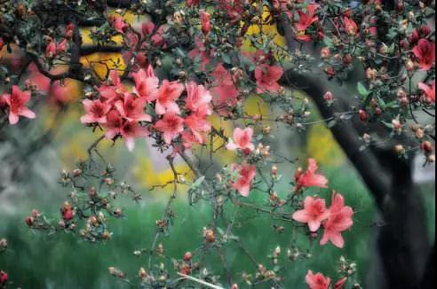 ӡ�ⷨʦ����ȫ���������������ҵ��ҵ��������