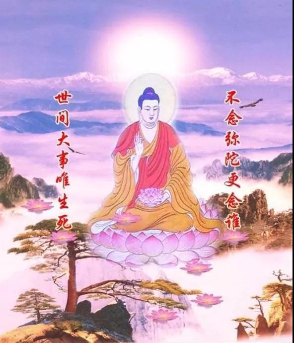 һ�����Ű����ӷ�������