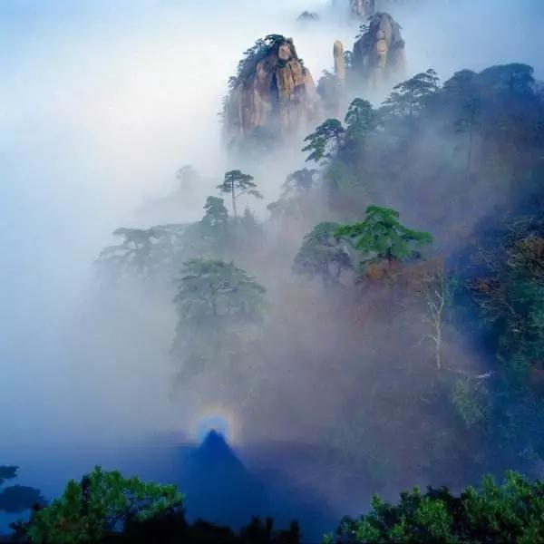 修行没有捷径可走,要死尽偷心 修行没有捷径可走,要死尽偷心