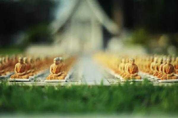 念阿弥陀佛,你必须得定量定时! 念阿弥陀佛,你必须得定量定时!