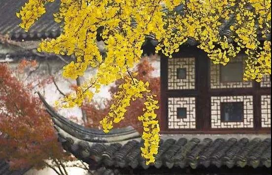 ����Ϊ�ƣ������з�����Ļ���