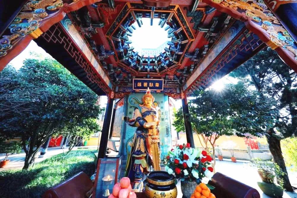 ӡ�ⷨʦ������Ӳ���������������������������Ϊа��