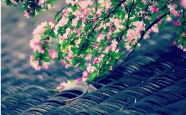 女居士有两关最难突破,做到三点可以克服 女居士有两关最难突破,做到三点可以克服