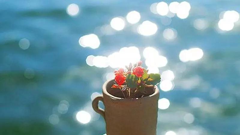 ����ʦ���Ҹ����ǻ�����˿���