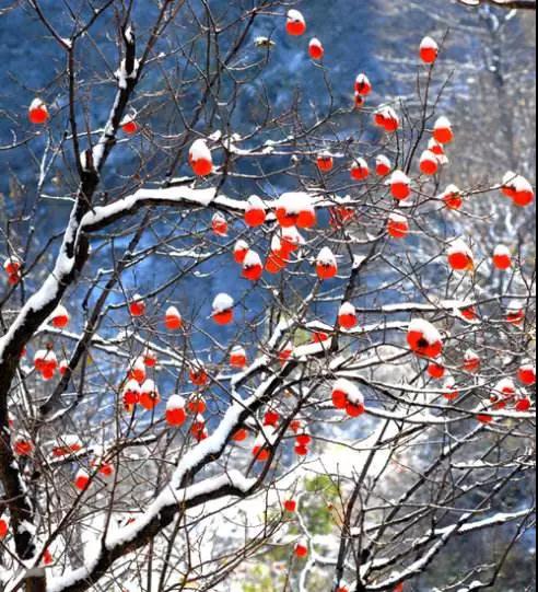 人间种种烦恼大多皆是庸人自扰 人间种种烦恼大多皆是庸人自扰