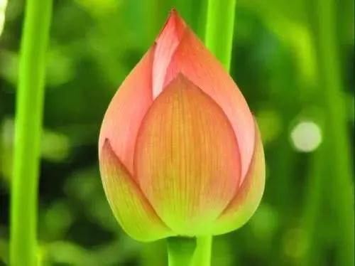 ����в��ɲ�֪���������ǣ���˫�ֺ�ʮ��ʼ���㣡