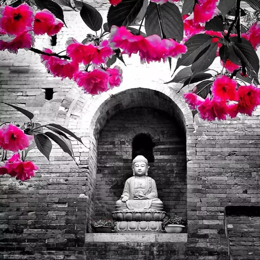 ���ĵ����Ͽ�����𣬲��ܸз���Ӧ