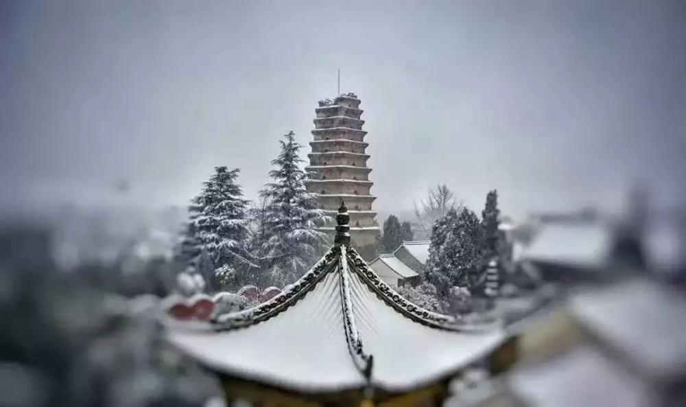 ���ĵ����Ͽ�����𣬲��ܸз���Ӧ