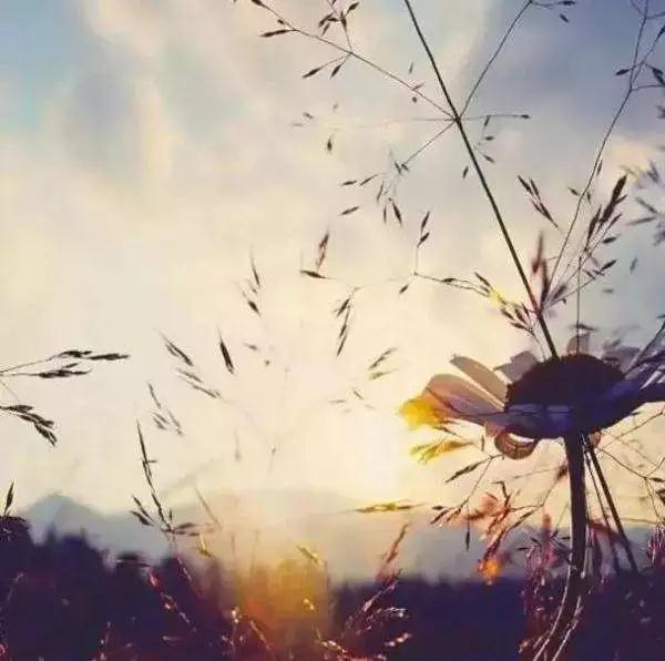 ���ĵ����Ͽ�����𣬲��ܸз���Ӧ