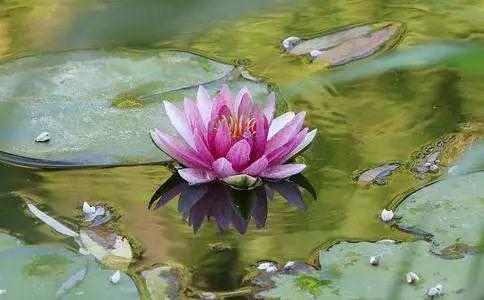 ���ĵ����Ͽ�����𣬲��ܸз���Ӧ