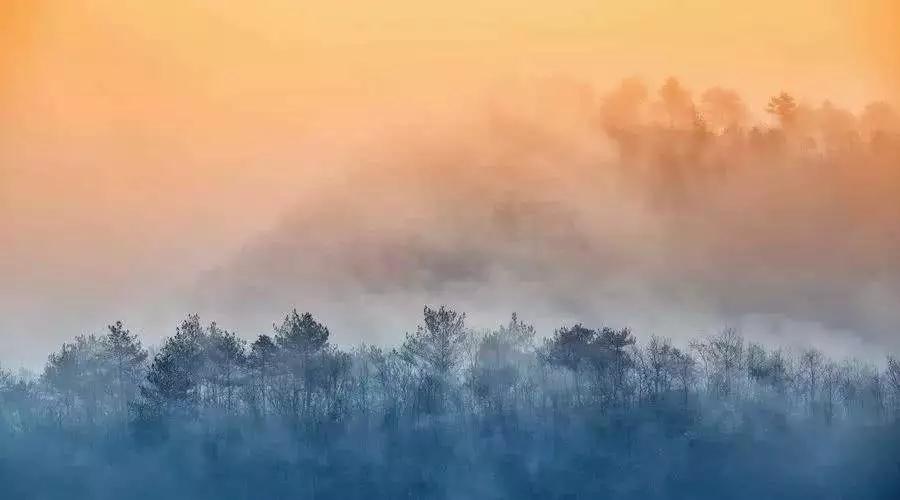 ���޷ǳ���Ҫ��û�����޲��ܹ��Ƴ��Ի�