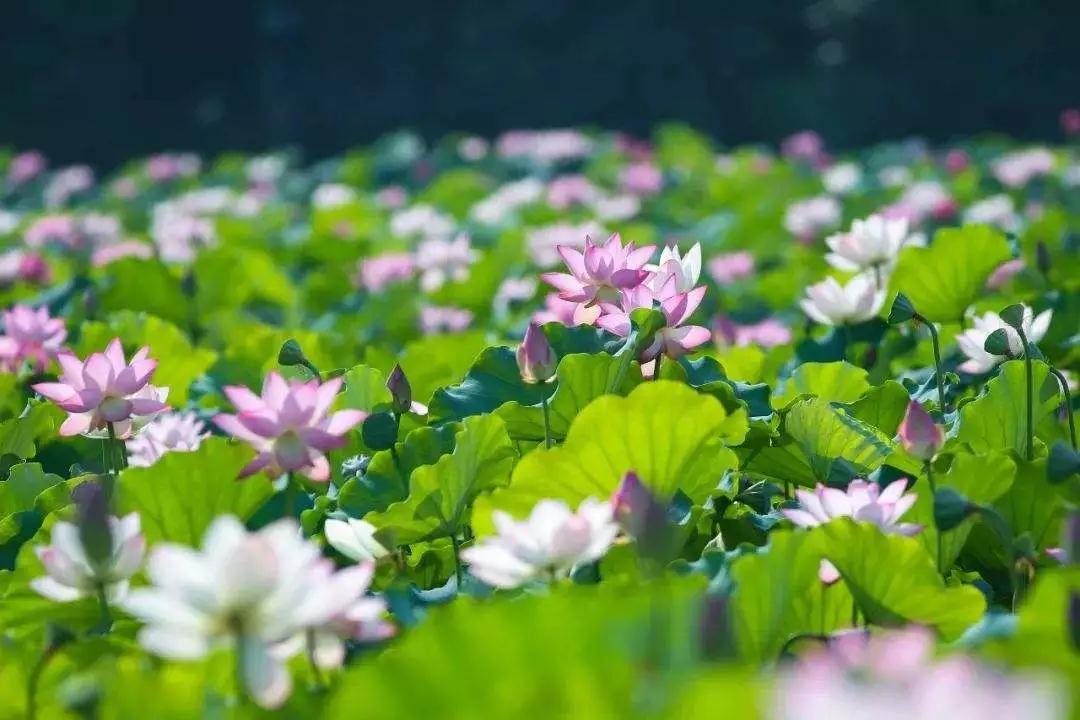 如何化解过去、前世、今生的种种冤结? 如何化解过去、前世、今生的种种冤结?