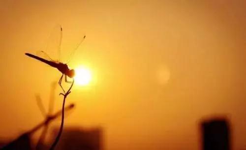 如何化解过去、前世、今生的种种冤结? 如何化解过去、前世、今生的种种冤结?