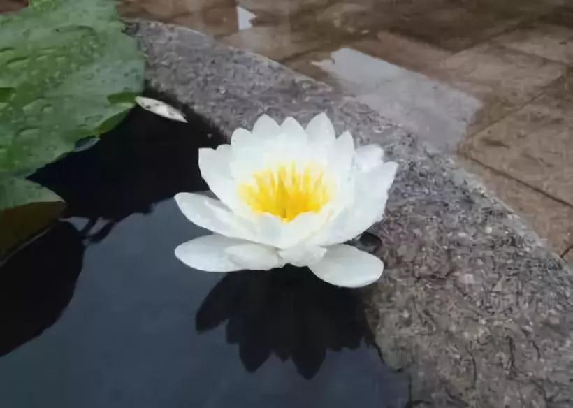 如何化解过去、前世、今生的种种冤结? 如何化解过去、前世、今生的种种冤结?