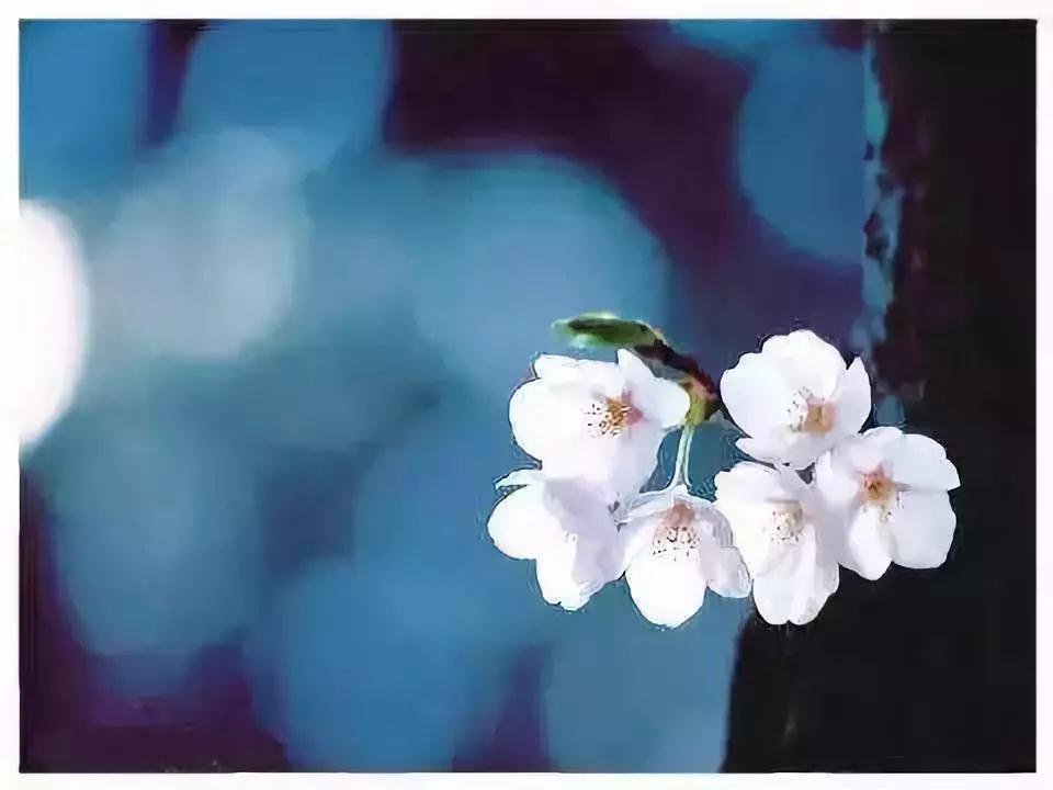 Ҫ���ޣ������徻�����