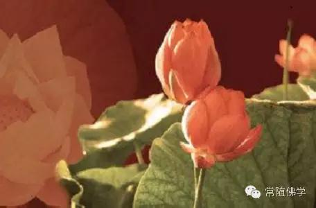 ����������������Ϣ��