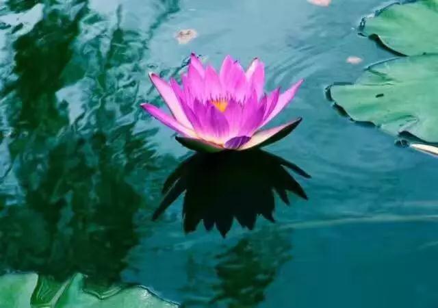 ֻҪ����Ļ����������������һ���ƶ��ܹ���������������