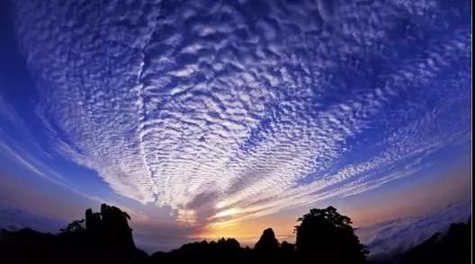 ����������֮ʿ��ѧ������������˳����������Ǽ��