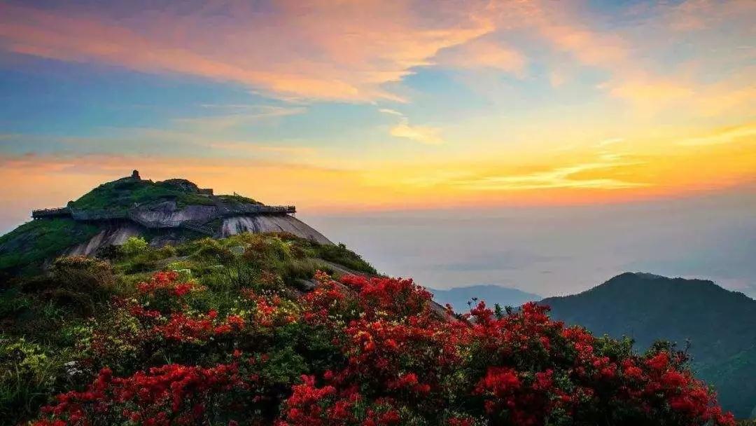 印光法师:不怨不尤,净心念佛,其消业也 印光法师:不怨不尤,净心念佛,其消业也